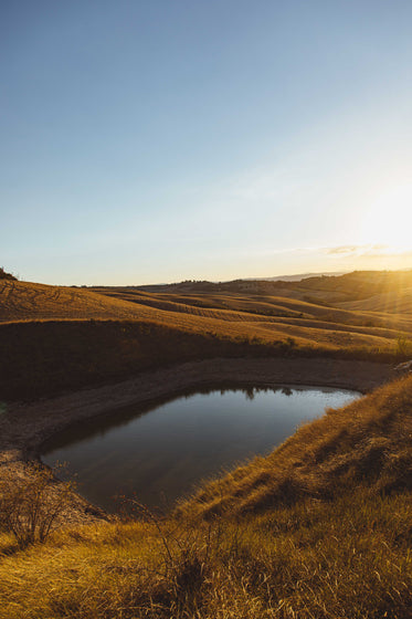 pond in the middle of farmland