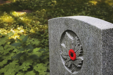 poppy on veteran's headstone