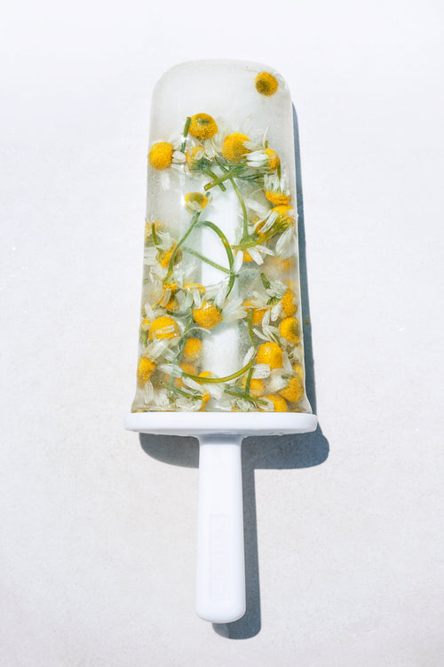popsicle of fresh chamomile flowers on white