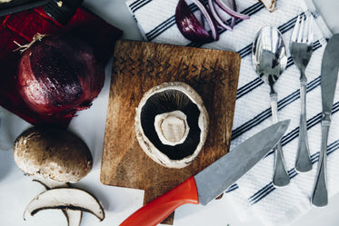 High Res Portobello Mushroom And Onion Picture — Free Images