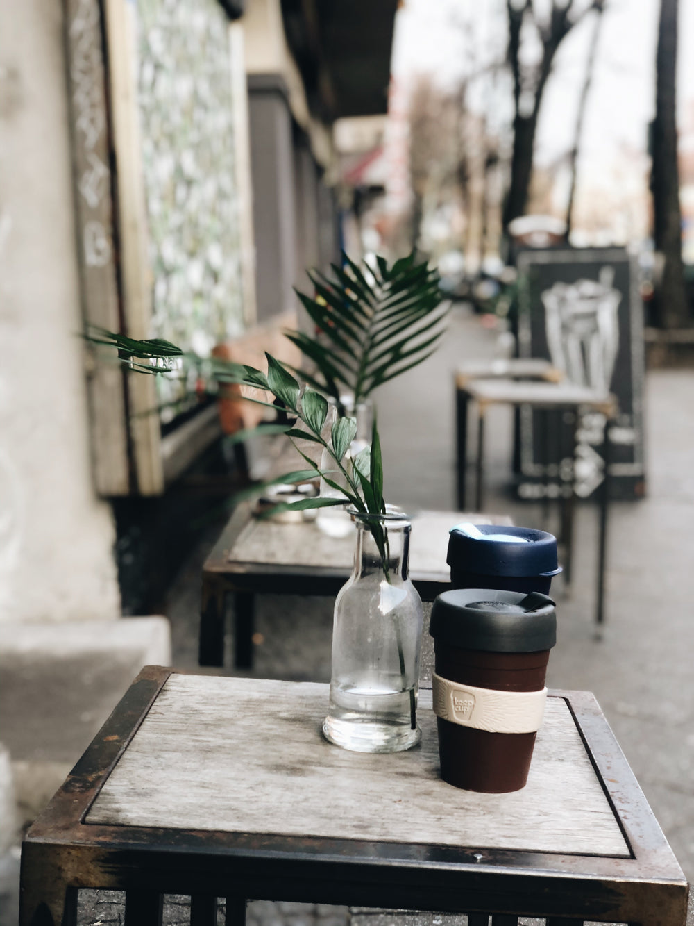 potted plants and coffee cups on patio