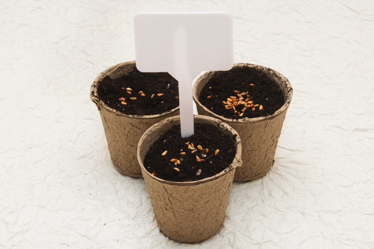 Potted Seeds