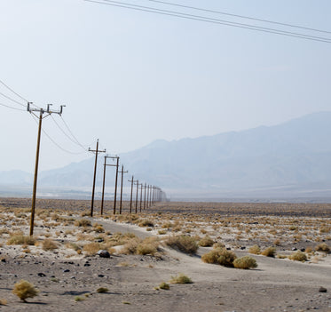 power lines as far as the eye can see