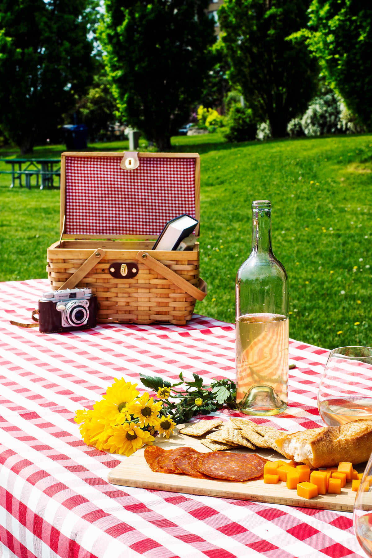 pretty picnic table in park