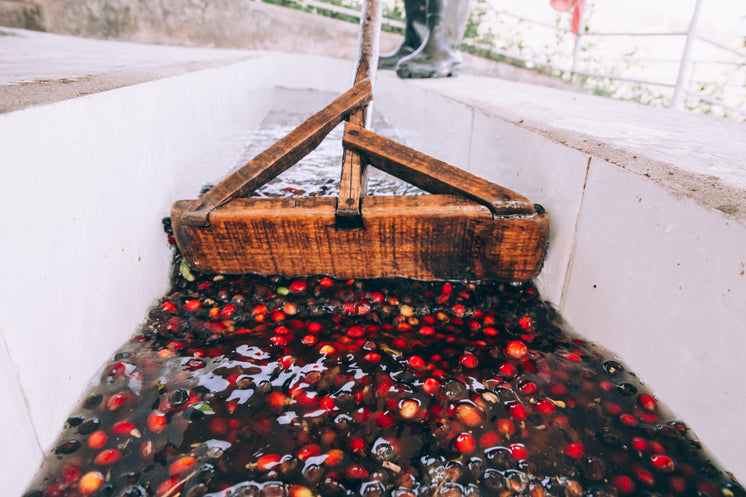 processing-fresh-coffee-beans.jpg?width=746&format=pjpg&exif=0&iptc=0