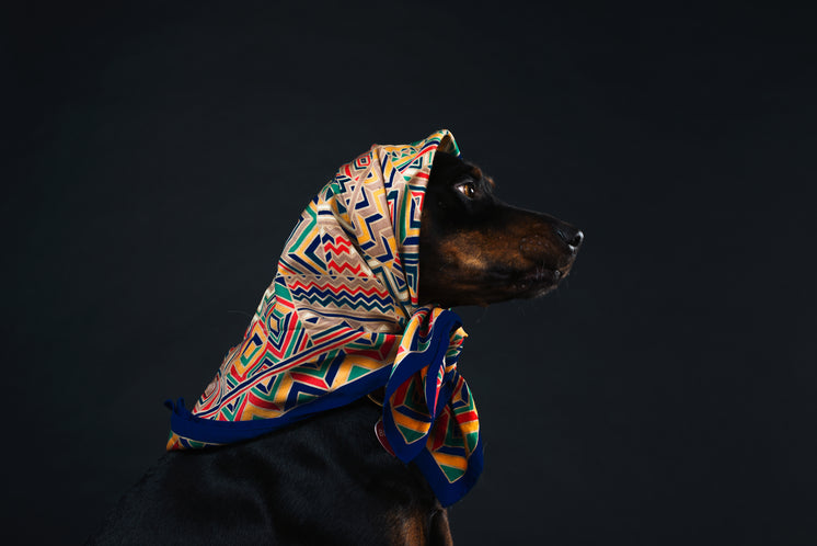 profile-of-a-black-and-tan-dog-in-a-patt