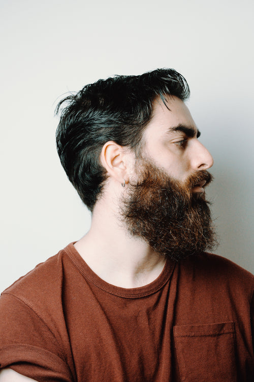 profile of a man with beard and styled hair