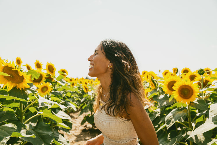 profile-of-a-person-smiling-in-a-sunflower-field.jpg?width=746&format=pjpg&exif=0&iptc=0