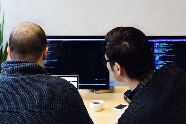 Programmers Reviewing Code On Computer