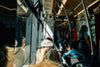 public transit train car full of people