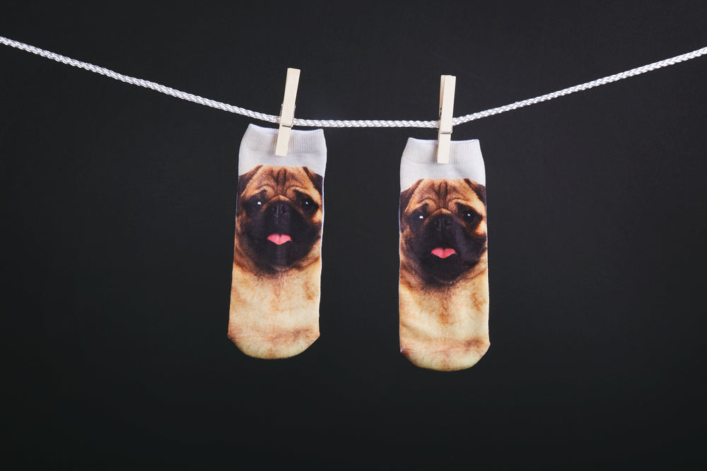 pug dog socks