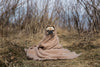 pug in a blanket on dry path