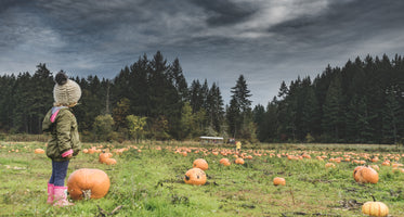 pumpkin patch girl