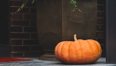 pumpkin sat on the top step of porch