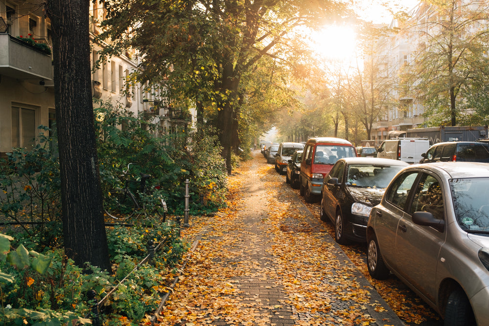 quiet fall morning on urban street