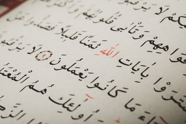 quran text close-up