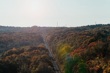 railway tracks stretch through fall trees