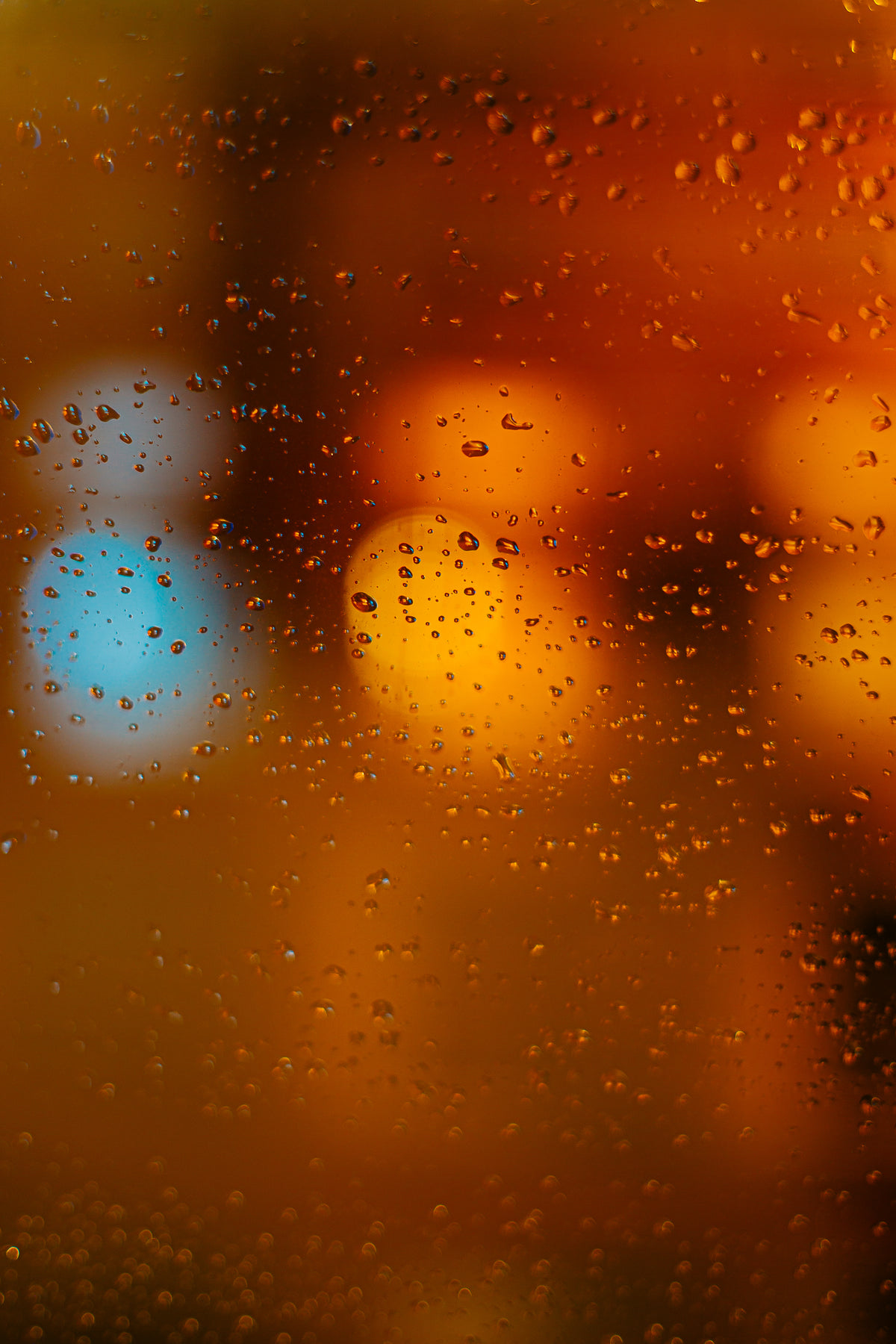 rain drops illuminated on window