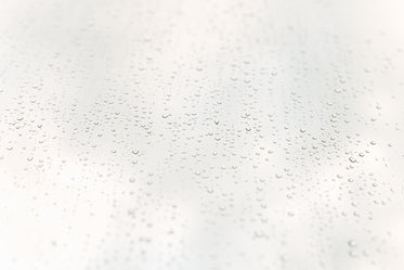 rain drops on a bright window