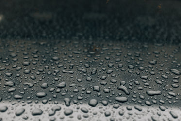 rain drops on metal