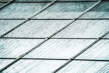 rainy glass roof
