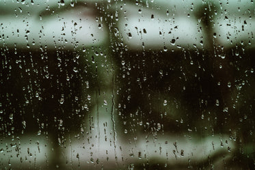 rainy window pane