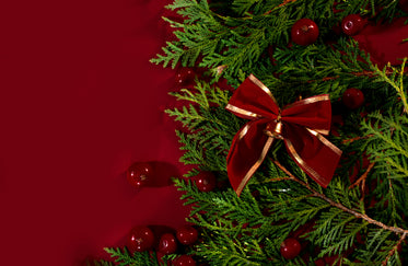 red and green cedar holiday flatlay