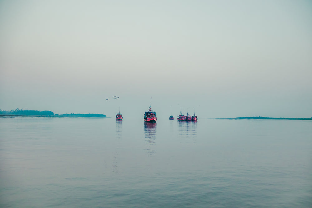 red boats float in water on an overcast day