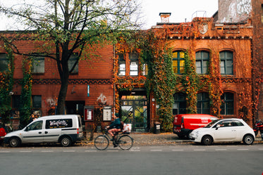 red brick ivy