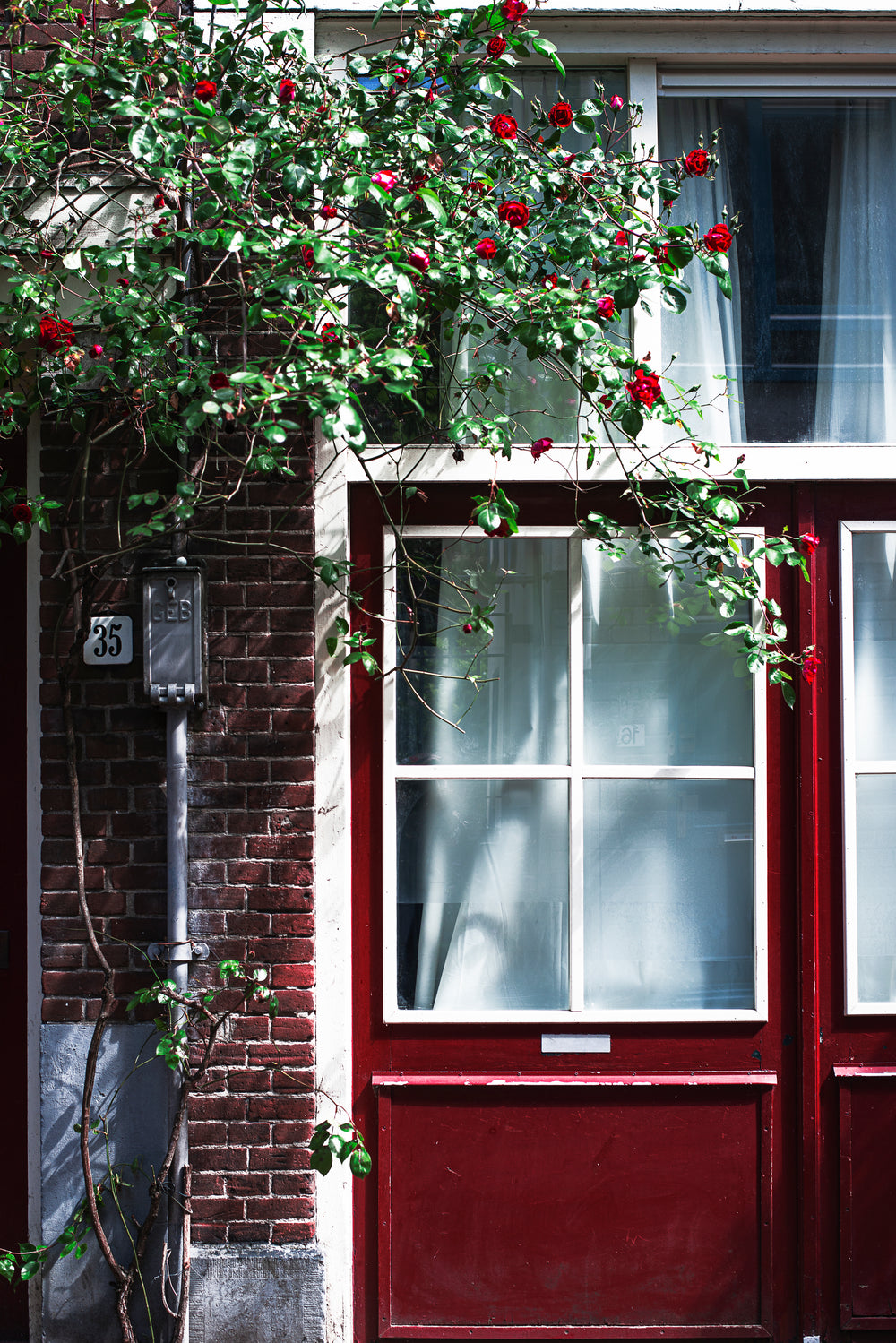 red door and flowers