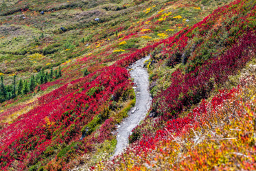 red hillside path