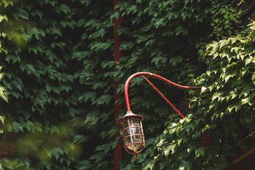 red lamp in green park