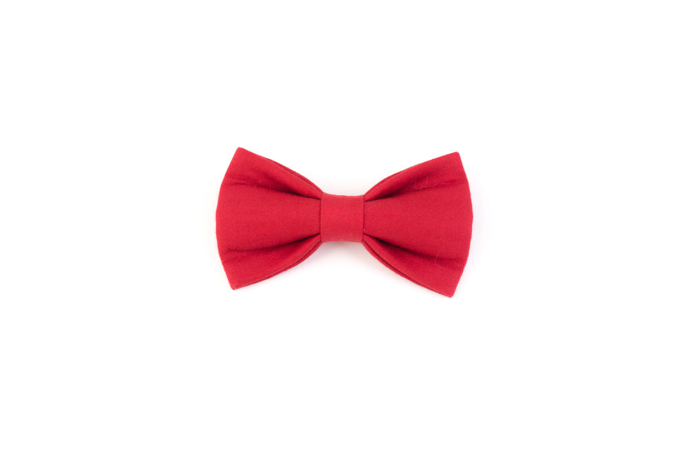 red pet bowtie