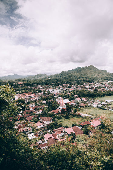 red rooftops surrounded by lush jungle