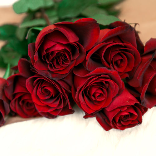 Red Rose Bouquet On Table