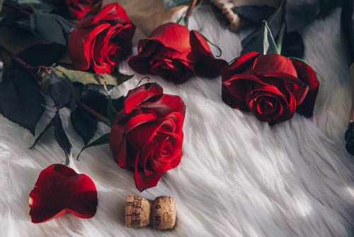 red roses and champagne cork
