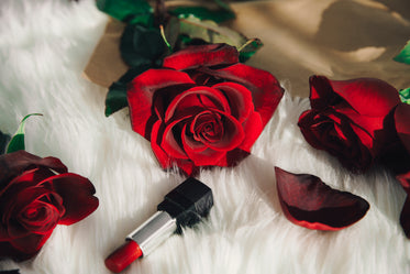 red roses and lipstick