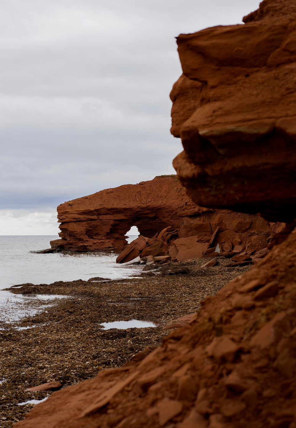 red sea arch