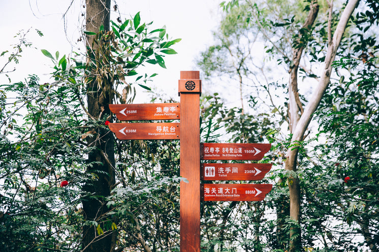 Red Wood Sign Post