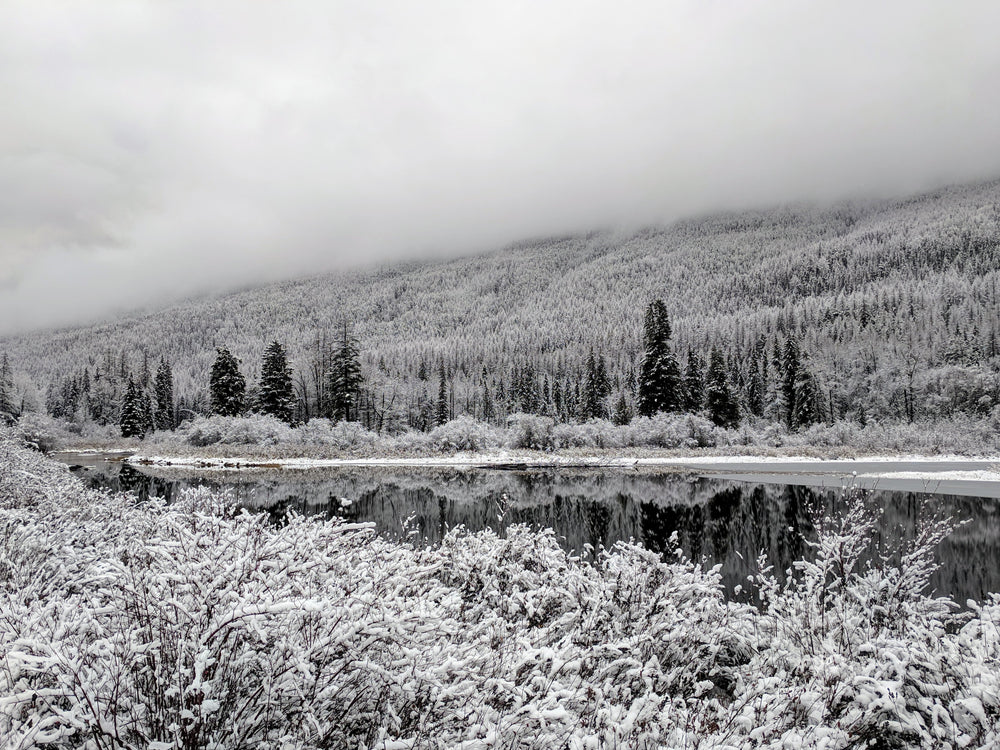 reflection of snow capped trees in lake below