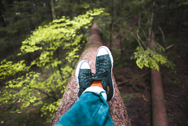 relaxing in nature