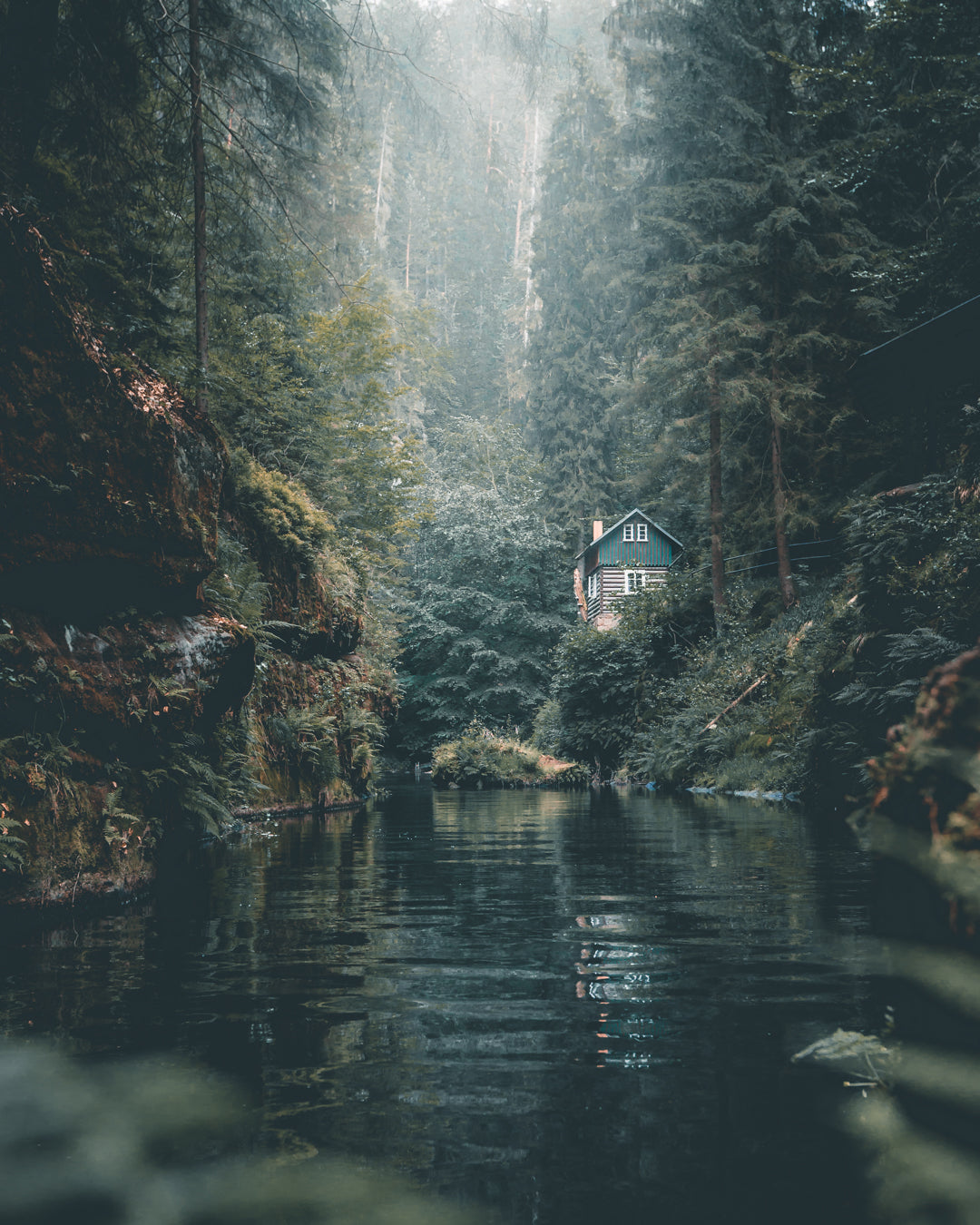 宁静的森林河上遥远的小木屋