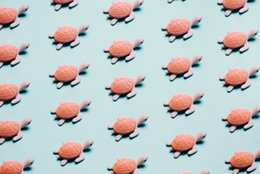 repeat pattern of a toy turtle on a blue background