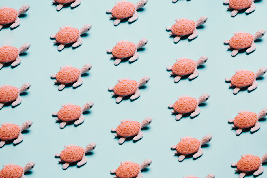 Browse Free HD Images of Repeat Pattern Of A Toy Turtle On A Blue ...