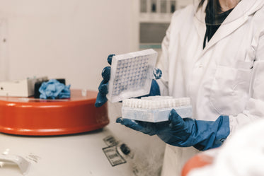 Picture of Research Lab Frozen Specimens — Free Stock Photo