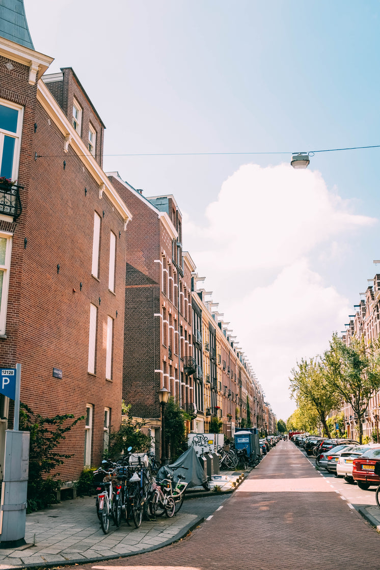 Residential Street In Amsterdam