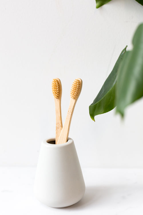 reusable toothbrushes in holder