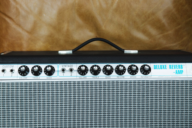 reverb-amp-for-playing-sweet-music.jpg?width=746&format=pjpg&exif=0&iptc=0