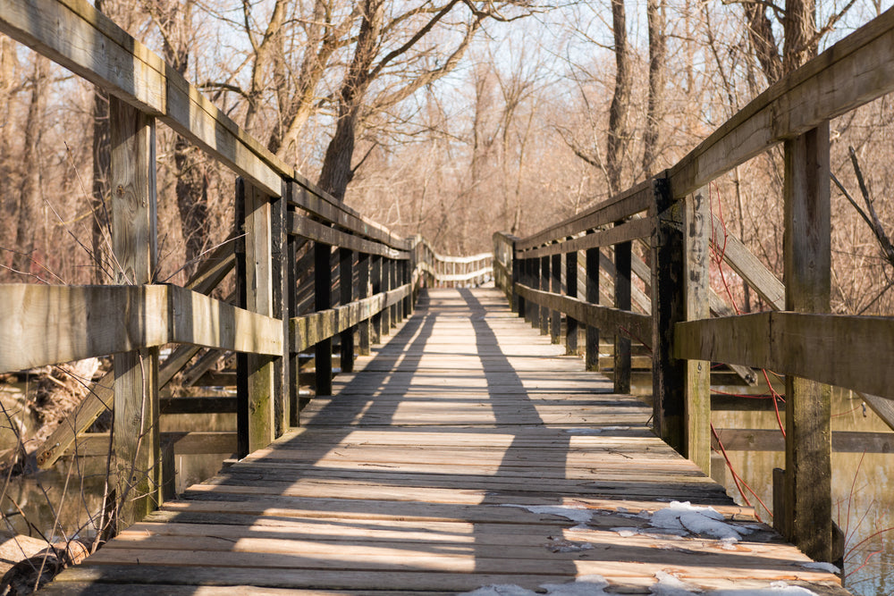 rickety wooden bridge surrounded by trees