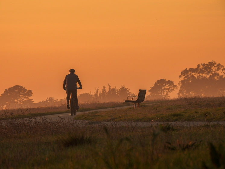 Riding A Bike At Dusk